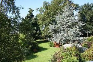 Stracey garden