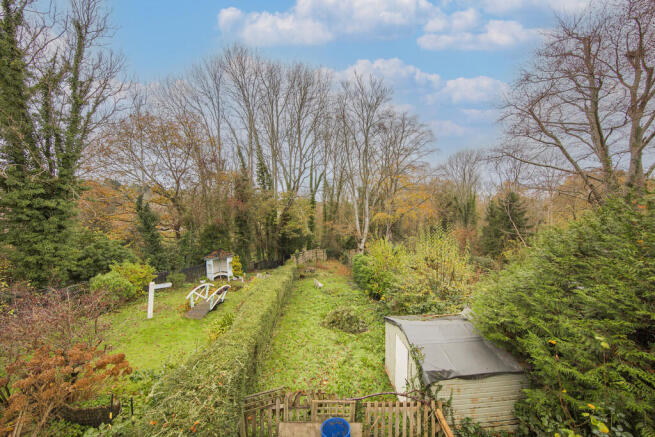 Garden 5