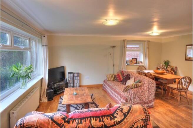Living / Dining Room