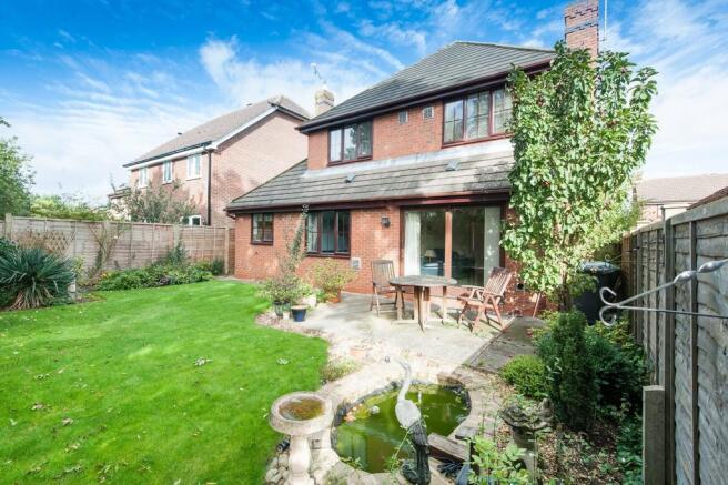 Back Garden