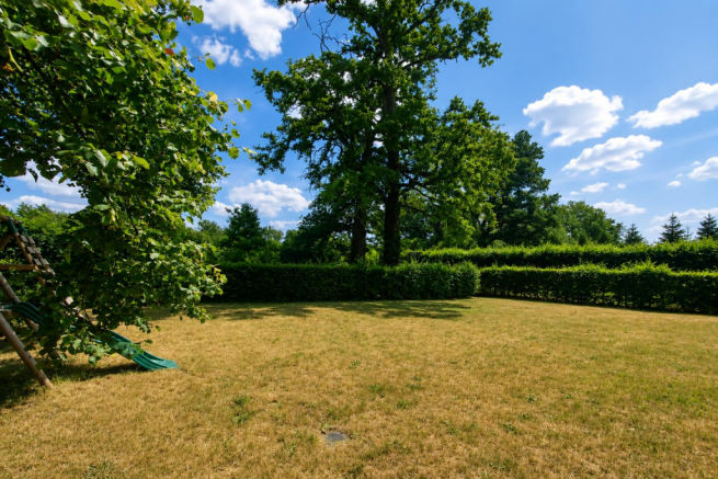 Back Garden
