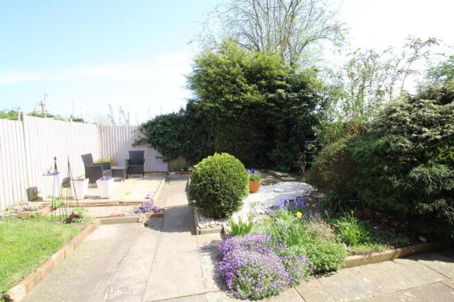 Back Garden