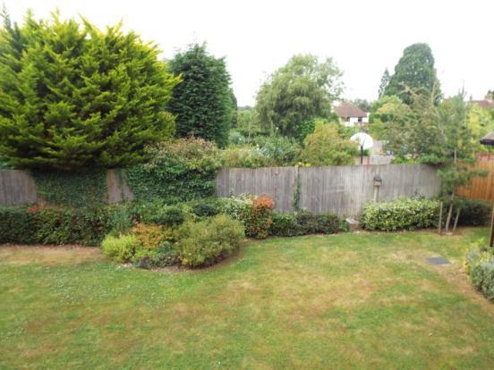 Rear Gardens