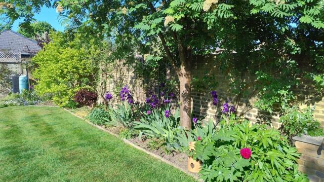 Garden (14)