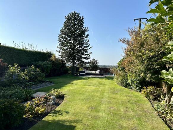 garden2.JPG