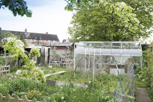 Vegetable Area