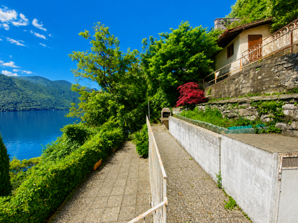 terraces