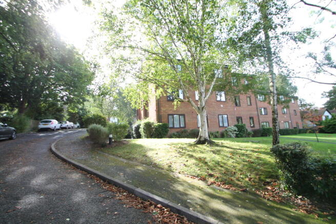 Photo 7