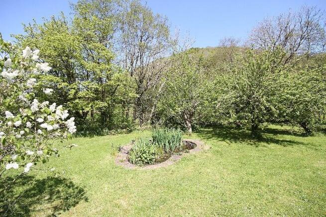 garden 1