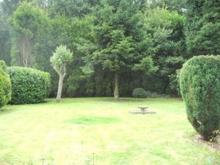 Large Garden