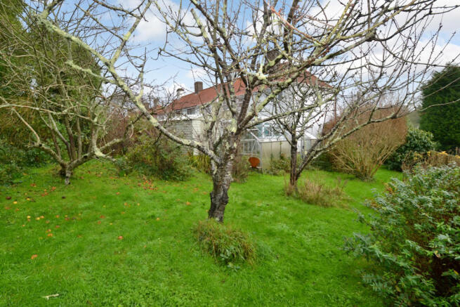Rear gardens