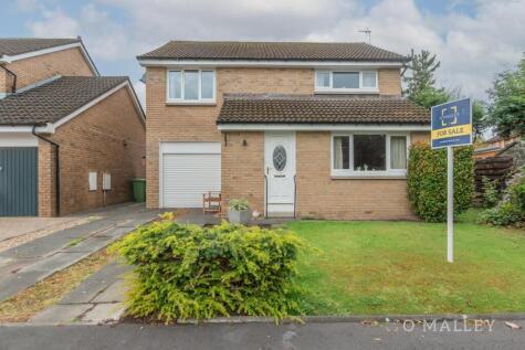 Wood Avens, Tullibody