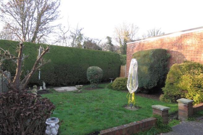 GARDEN.JPG