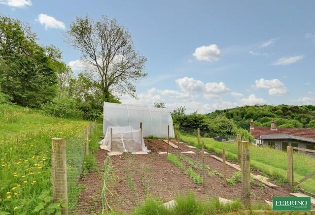Vegetable Garden