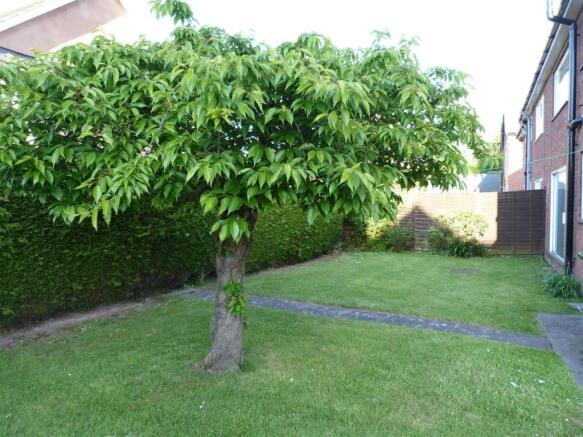 Rear Garden 2