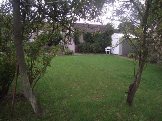 GARDEN 3