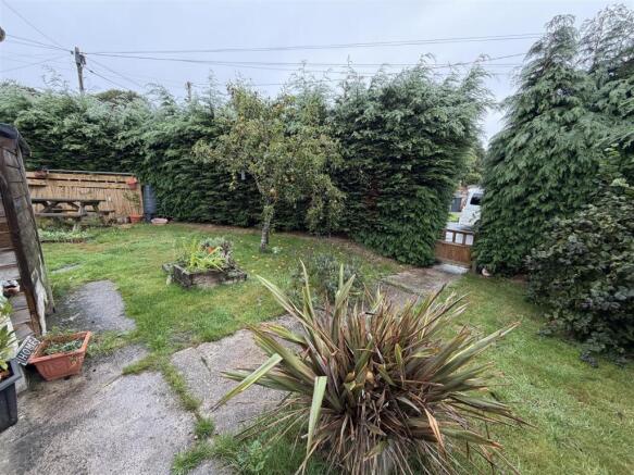garden.jpeg