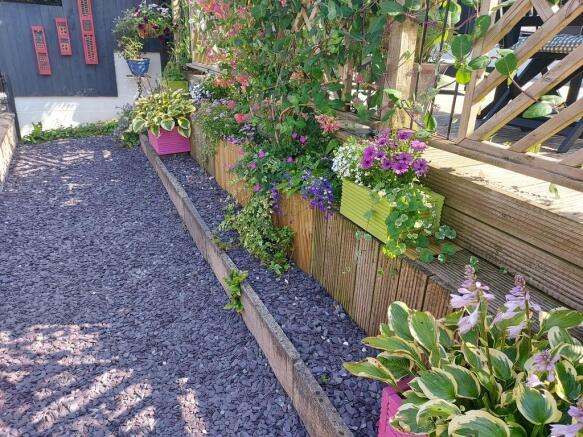 Terraced plants