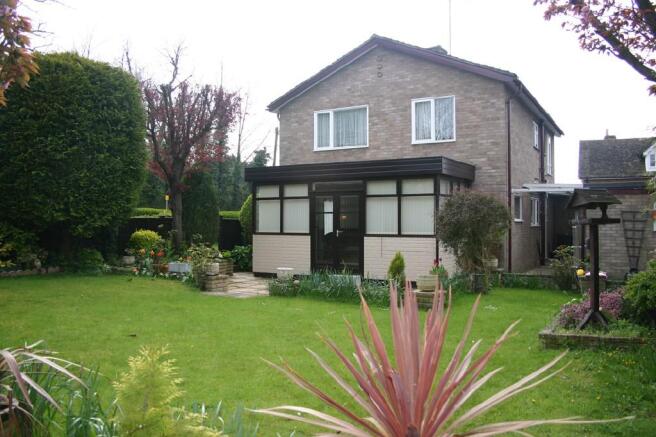 Rear Aspect