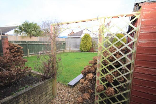 Garden 3.jpg