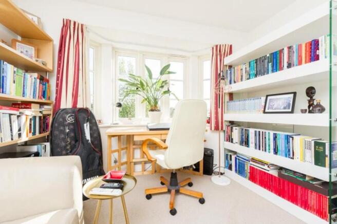 Study Area
