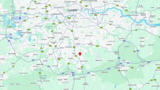 Woodland inside M25.