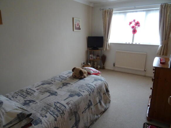Photo 6