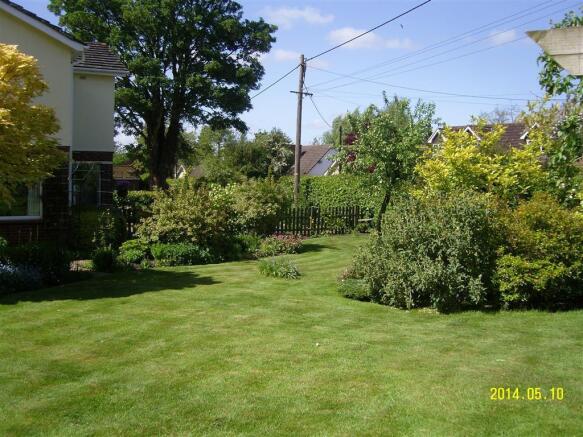 Photo 12