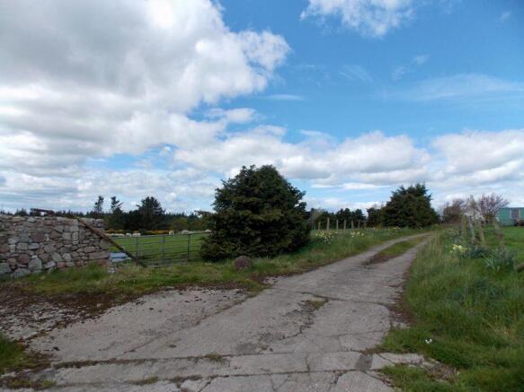 Photo 30