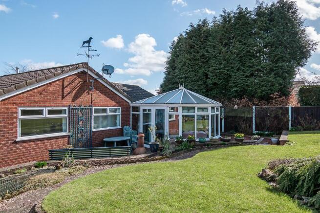 Back Garden