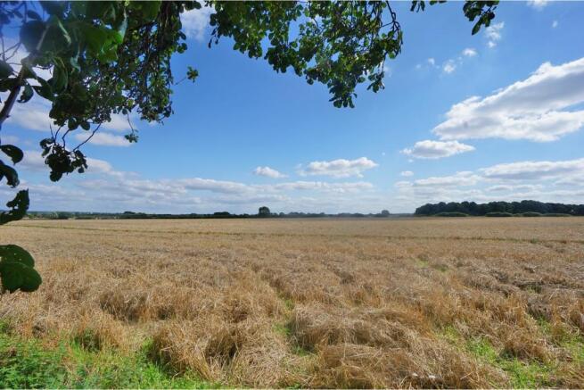 Field