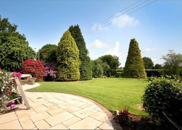 Sunny Terrace