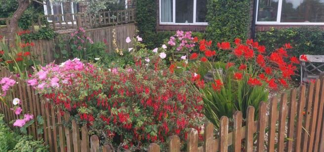Photo 21