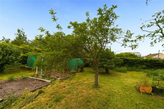 Garden Plot