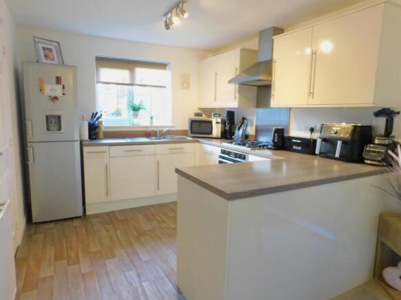 28 buttercup close (11)