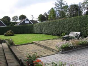 Gardens & Patio Area