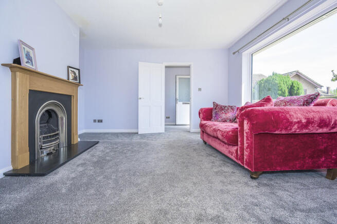 _DSC3341-Edit cop...