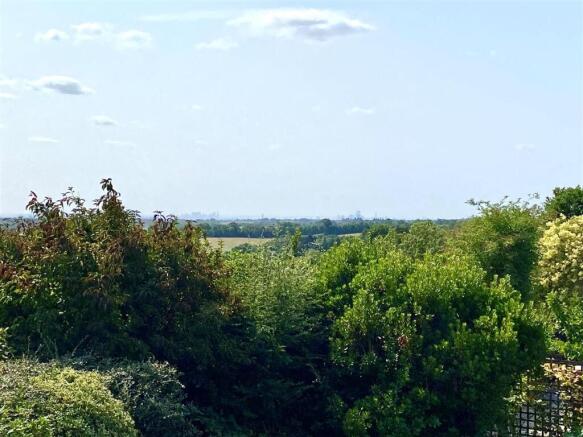 London View.jpg