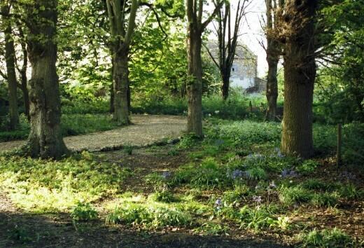 North Woodland