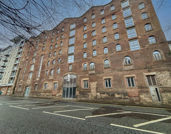 IMG 8161 T202602030804.jpg