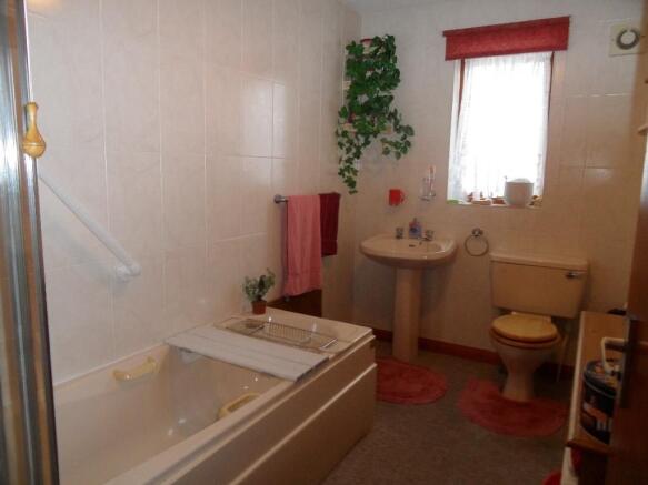 Photo 5