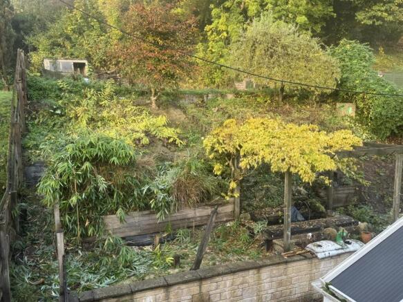GARDEN 1.JPEG