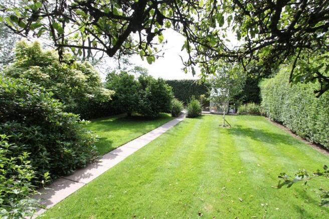 rear garden w4