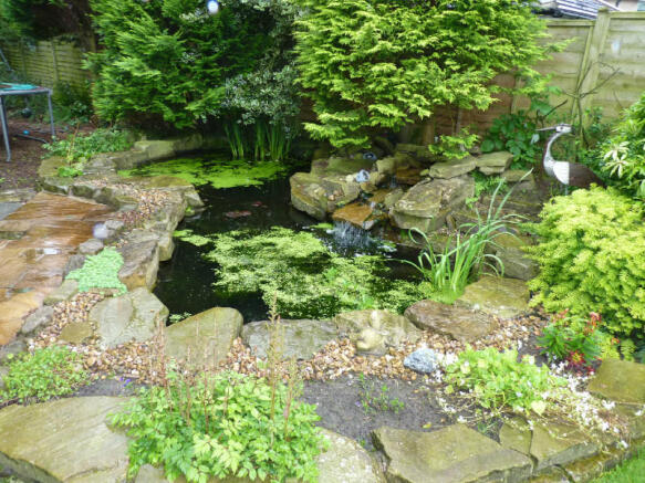 Picture 12