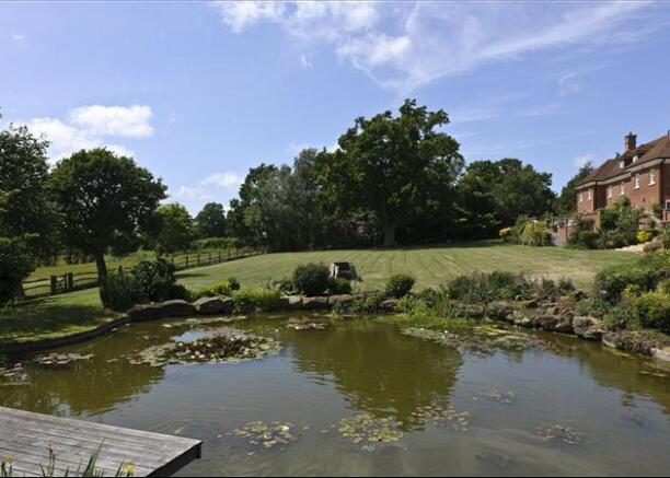 Garden Pond