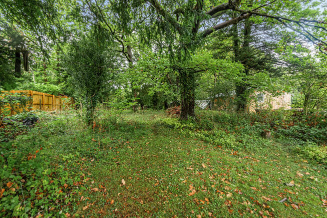 Woodland