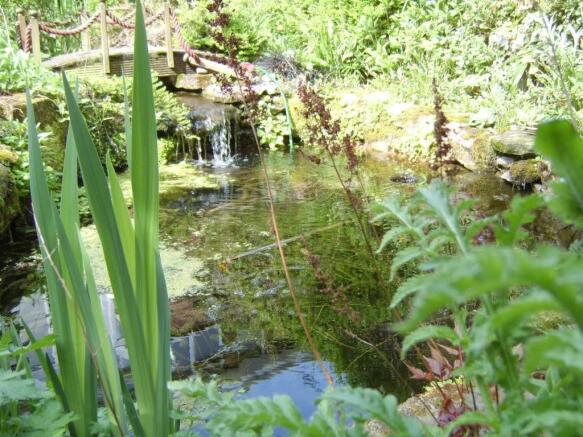 Pond