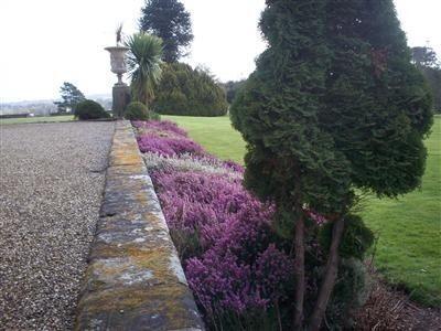 Side Terrace
