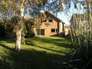 Rear of the property