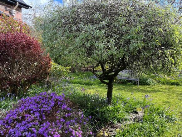 GARDEN CLIENT 3.jpg